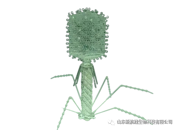 【临床案例】人类应对超级细菌的救星！