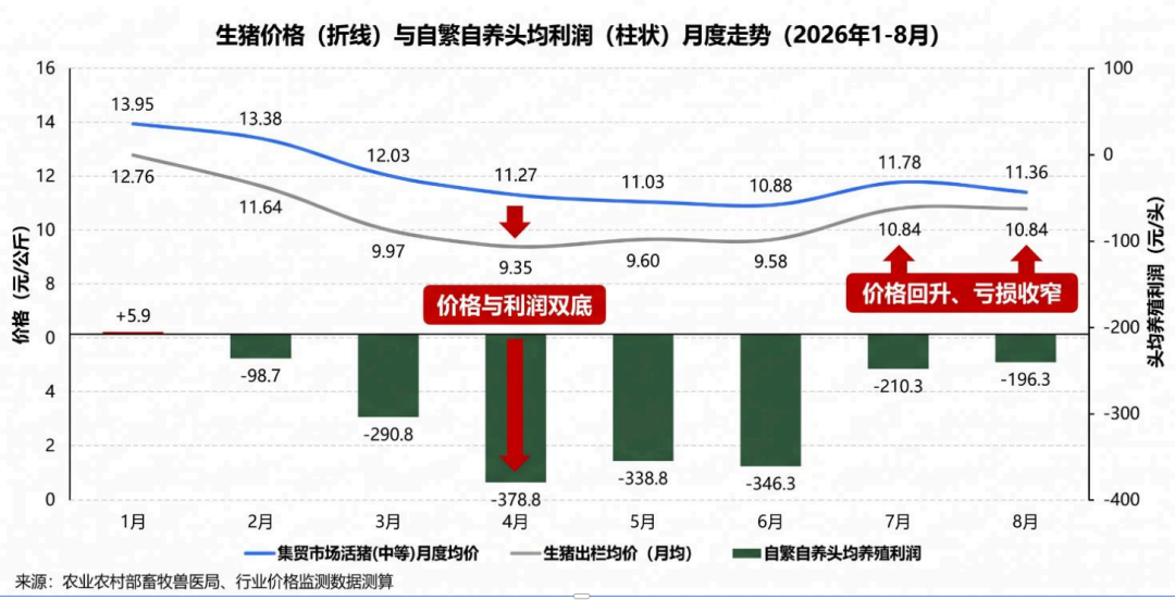 航线研报 | 养殖行业市场观察（2026年8月版）